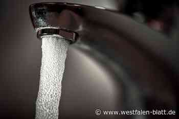 Windkraft: Stadtrat Willebadessen lehnt AfD-Antrag ebenfalls ab