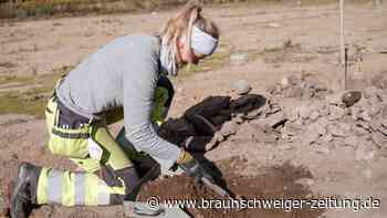 Rätselhafter Fund aus der Eisenzeit macht Forscher stutzig
