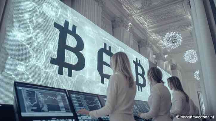 “Bitcoin niet hebben is een risico”, stelt deze Wall Street analist