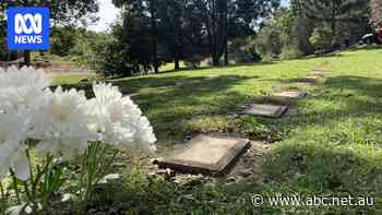 Grave thief jailed after magistrate brands cemetery thefts 'despicable'