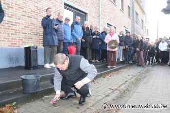 Koster die gestrande Engelse piloot hielp krijgt struikelsteen in Kinrooi: “Passanten struikelen letterlijk over het verleden”