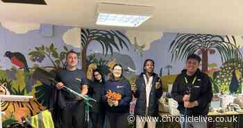 Communities in Newcastle come together to transform outdoor spaces into nature and wildlife havens