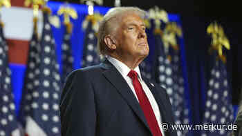 Pufferzone mit europäischen Truppen? So sieht Trumps Friedensplan für die Ukraine aus