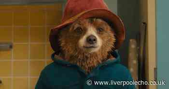 Paddington in Peru breaks UK box office records in opening weekend
