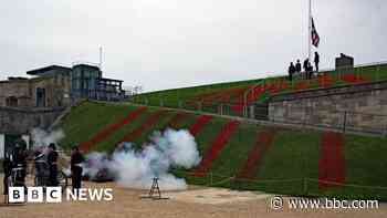 In pictures: Remembrance Sunday poppies and parades