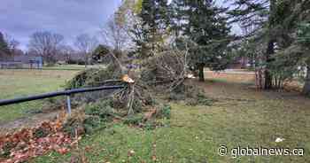 Northern Tornadoes Project confirms tornado touched down in Ontario on Sunday