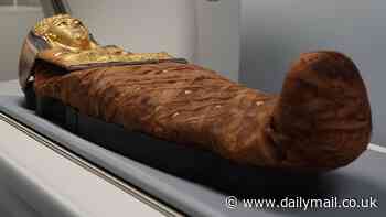 X-ray scans finally reveal how 3,000-year-old Egyptian mummy was sealed in coffin 'with no opening'