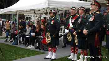Hundreds fill Hamilton's downtown Gore Park to remember Canada's war dead