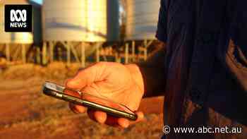 'It's frustrating': Grain farmers are losing signal and connectivity since Telstra's 3G shutdown