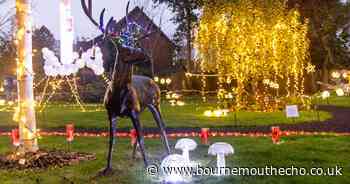 Light festival at care home raises more than £300 for charity