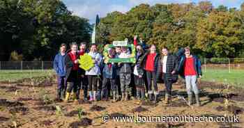 Children help plant more than 2,000 plants to create ‘mini-forest’