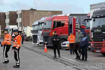 Helft van gecontroleerde vrachtwagenchauffeurs niet in orde in Zeebrugge: “Ook zes illegalen opgepakt”