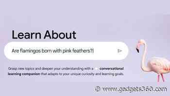 Google ‘Learn About’ Experimental AI Tool With Educational Style Responses Released