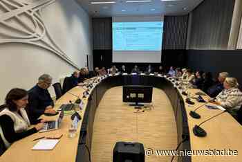 GEMEENTERAAD. Verenigingen kunnen zich kandidaat stellen voor Lummen for Life