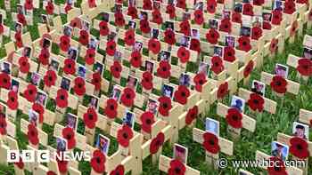 Wiltshire in pictures: Remembrance and light shows