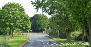 Man dies after car crashes into tree