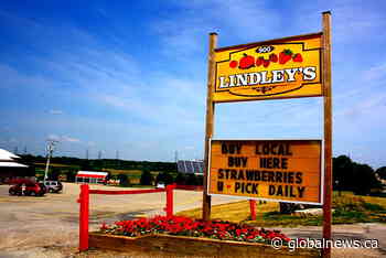 Ontario farm closes after 8 generations. It’s part of a growing ‘generational’ shift