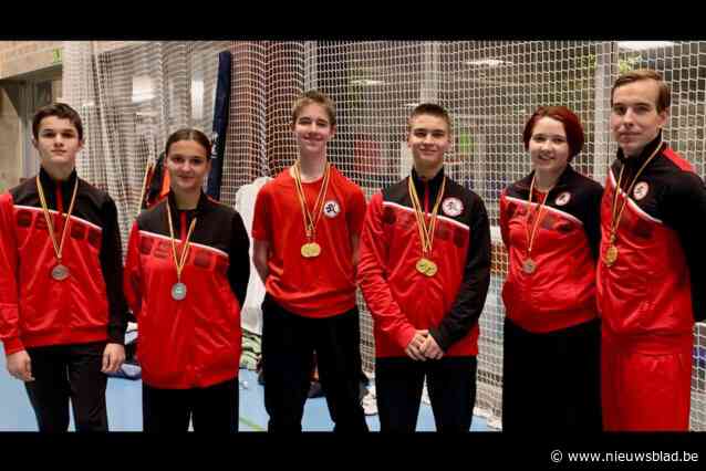 Vlaams Wushu Instituut goed voor veertien medailles op BK