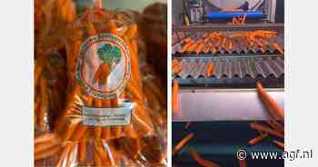 "Goede kwaliteit Duitse wortelen tot einde seizoen"