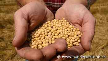 Monsanto-Kauf ein kostet Bayer Milliarden