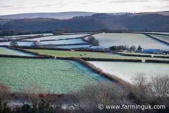 Accelerated phasing out of delinked BPS to have 'huge impact'