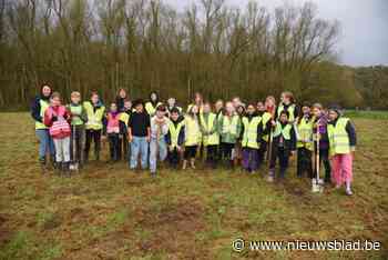 Nieuwdonk heeft er 1.250 bomen bij