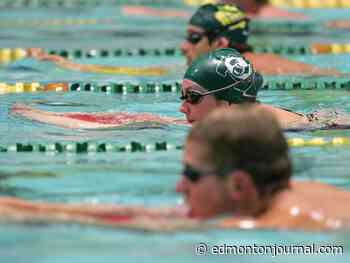 'Saddened and disappointed': University of Alberta to cut Golden Bears and Pandas swim programs
