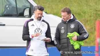 Vorfreude auf die letzten Länderspiele des Jahres