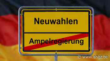 Neuwahlen am 23. Februar 2025: So geht es jetzt weiter