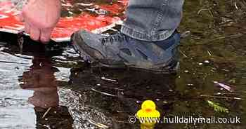 Councillors raise concerns over Cottingham flood risk