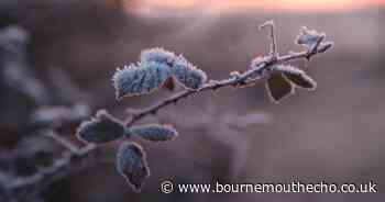 When will colder weather arrive and will it snow? what Dorset forecasters say