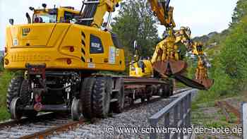 Fledermaus-Schutz im Kreis Calw: Und wieder steigen Kosten für die Hesse-Bahn