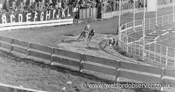 When Watford went back to the dogs