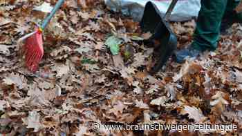 Stadt Gifhorn warnt: Laubentsorgung kann teuer werden