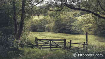 The Simple Step to Better Photo Consistency