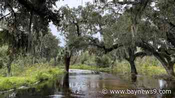Circle B Bar Reserve reopens following flooding from Hurricane Milton