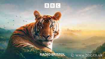 The Bristol producers behind Attenborough’s ‘Asia’