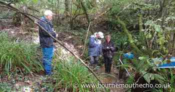 Purbeck residents invited to take part in ground-breaking environmental project