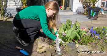 Als de 'regenbom van de eeuw' boven Landsmeer losbarst, zijn dit de mogelijke gevolgen
