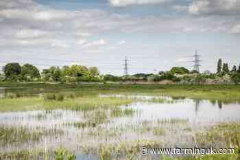 Defra pledges £50m to help protect farmers from future flooding