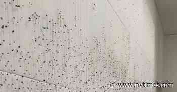 With Pebbles and Soap, Jesse Krimes Takes on the Prison System