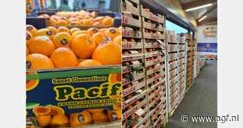 "Klein gat op de markt voor overzeese Orri"