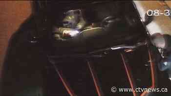 How did thieves steal your car? Maybe with a device they ordered online