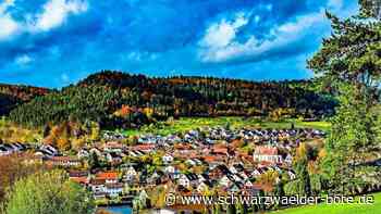 Rat legt Hebesätze fest: Rohrdorf will keine    höheren Grundsteuer-Einnahmen