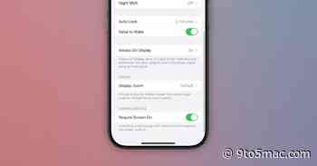 iOS 18.2 beta 3 adds new ‘Require Screen On’ toggle for Camera Control