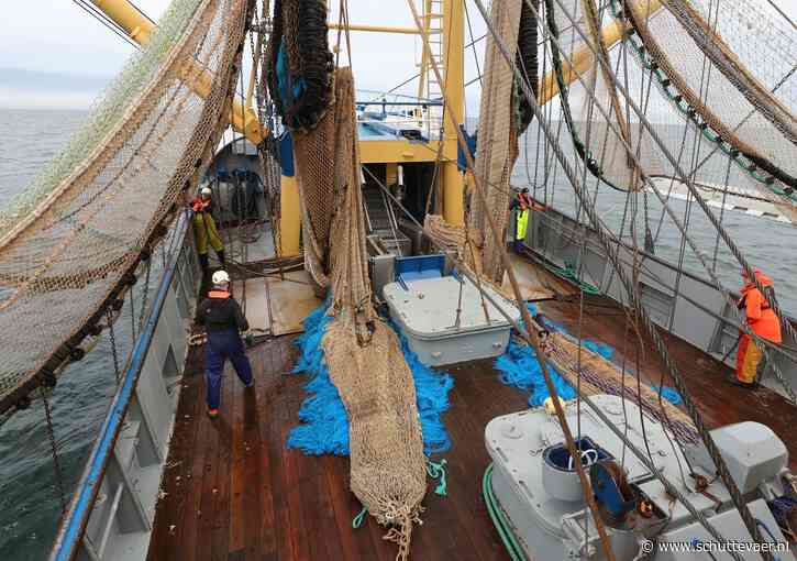 Marine Stewardship Council komt met nieuw programma om overbevissing te stoppen