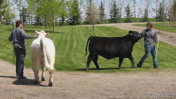 Agricultural education receives government funding as food demand grows