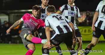 Scott Arnold bids farewell to Wimborne as Magpies exit Dorset Senior Cup
