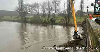 Road scheduled to close to remove tree posing a flood risk