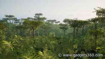 World’s Largest Living Organism Pando Might Be The Oldest Living Thing, Reveals New Study